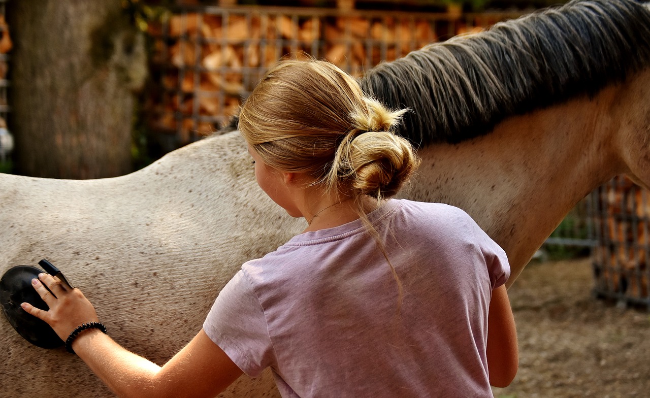 Les propriétaires autorisés à s'occuper de leurs chevaux? Que penser du communiqué de presse du Ministère de l’Agriculture 