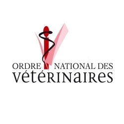 Techniciens dentaires équins : signature des conventions cadres pour l'exercice de la dentisterie équine par des non vétérinaires - L'Ordre national des vétérinaires